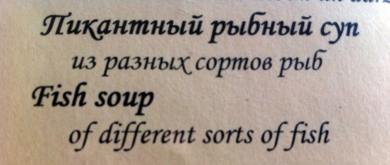 fish soup