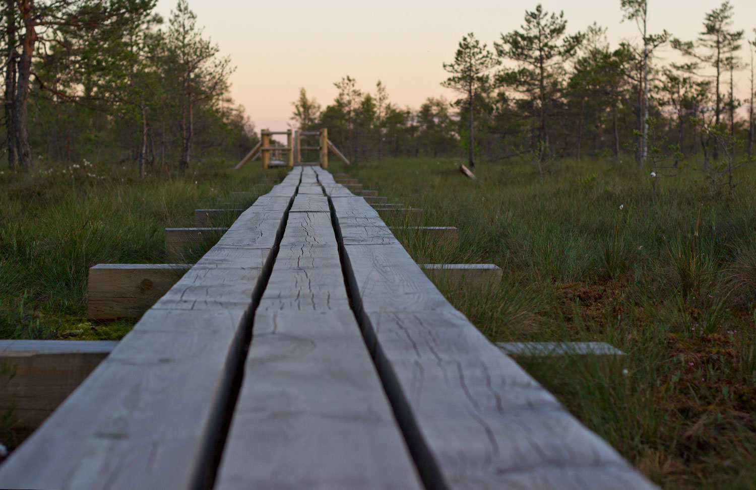 kemeri-bog