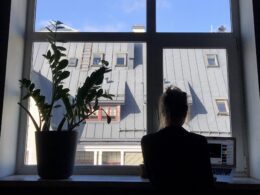freelancer riga