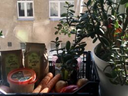 support local businesses riga