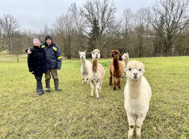 ian and joanna storie with their alpacas in latvia